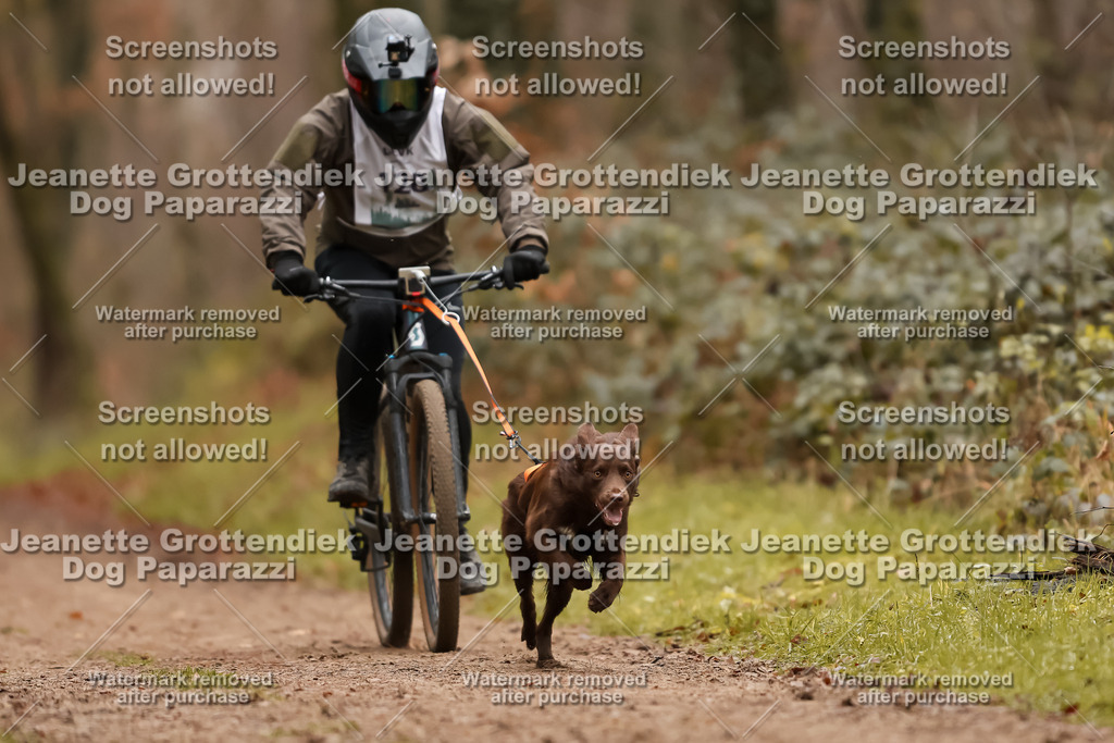 Dog Paparazzi - Speedhunter Mannheim  2025-357 | Dog Paparazzi Jeanette Grottendiek Fotografie & Videografie