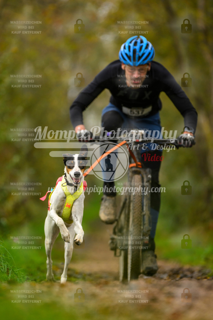 MompixPhotography_20TSB_E6_Bike-106 | PayLife
