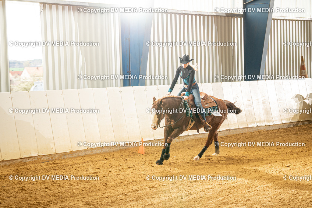 MIT00403 | dv-media-shop - Realisiert mit Pictrs.com