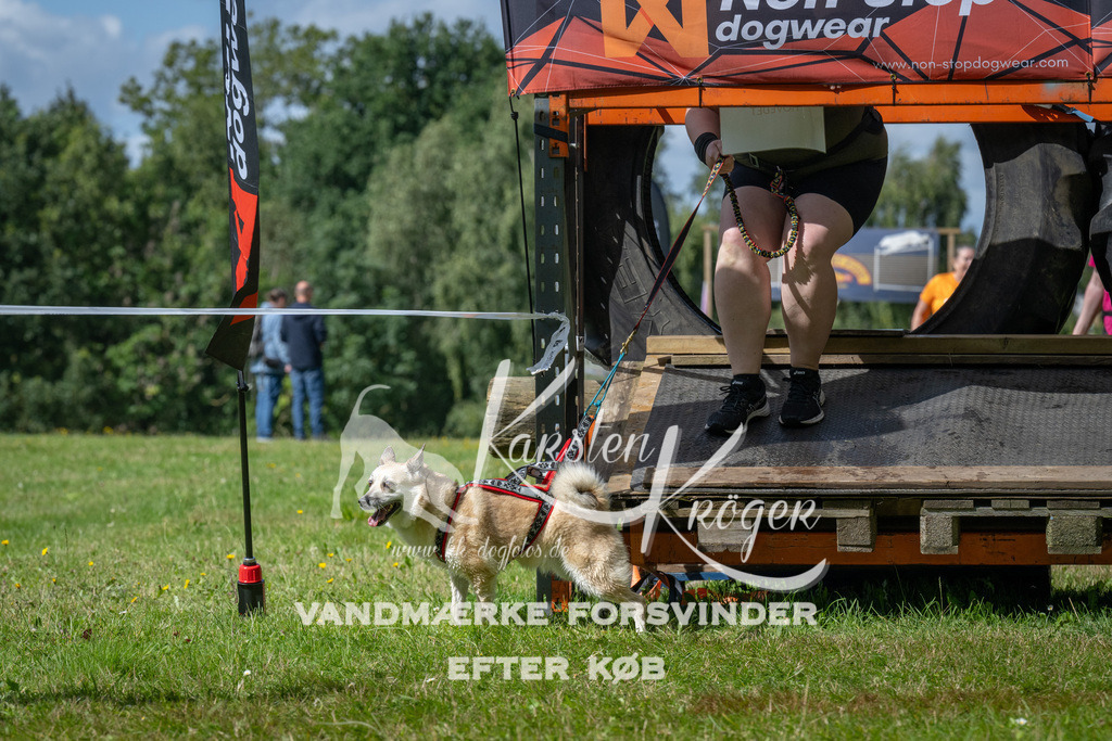 1540_ZZ93663 | kk-dogfotos