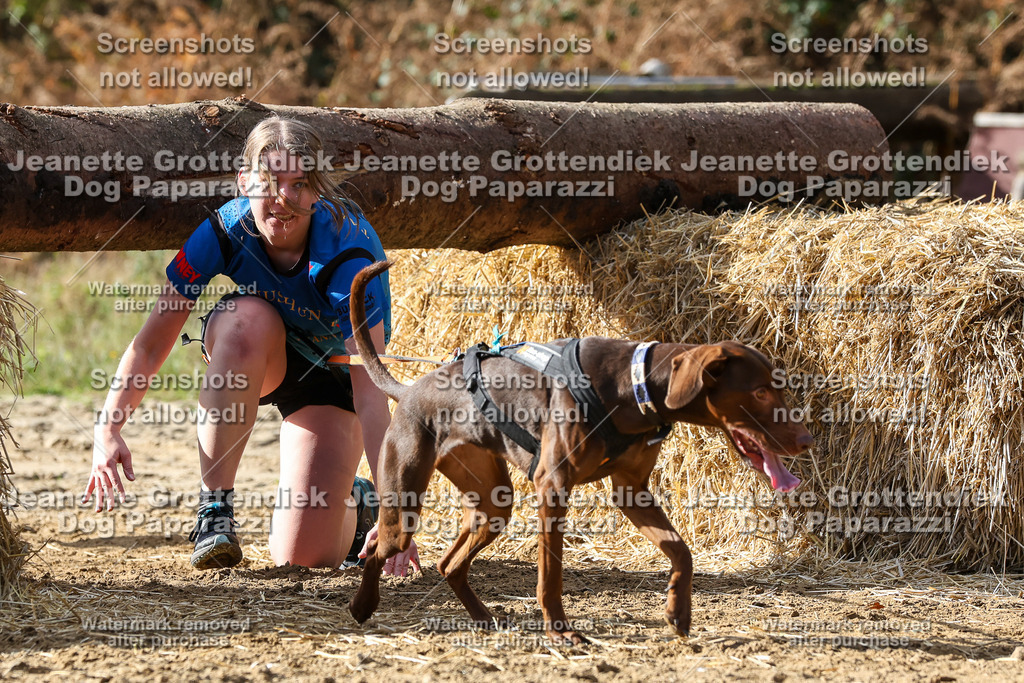 Dog Paparazzi - Strongdog 10-25-5401 | Dog Paparazzi Jeanette Grottendiek Fotografie & Videografie - Realisiert mit Pictrs.com