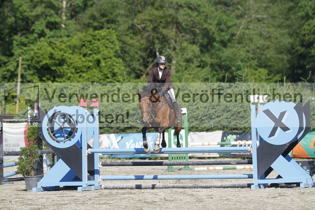 _MG_7964 | equestrian-live-com