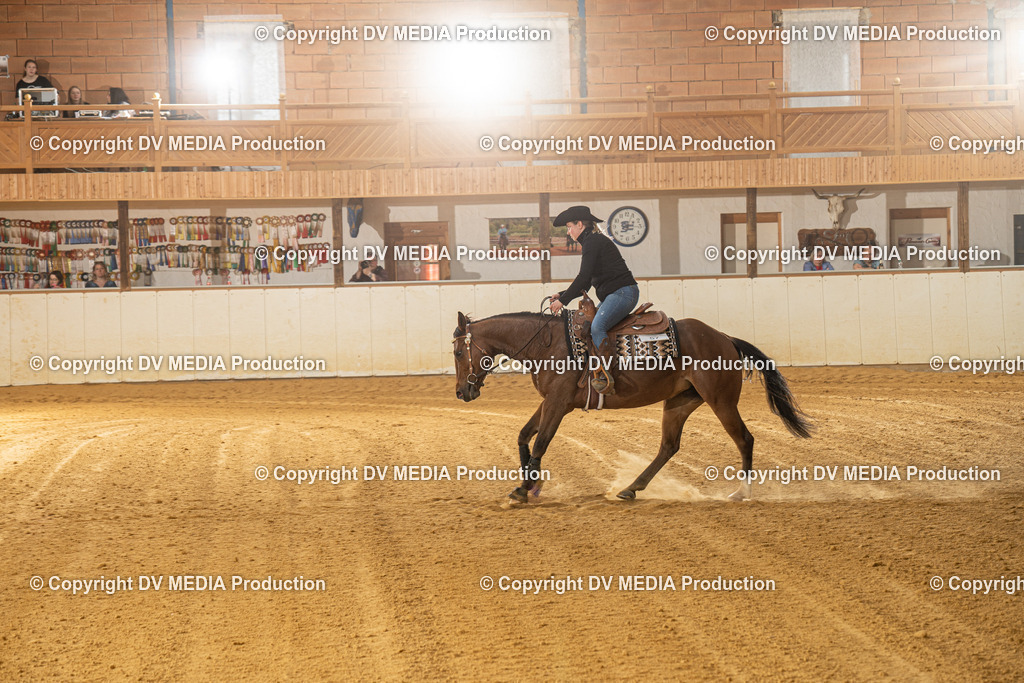 MIT00342 | dv-media-shop - Realisiert mit Pictrs.com