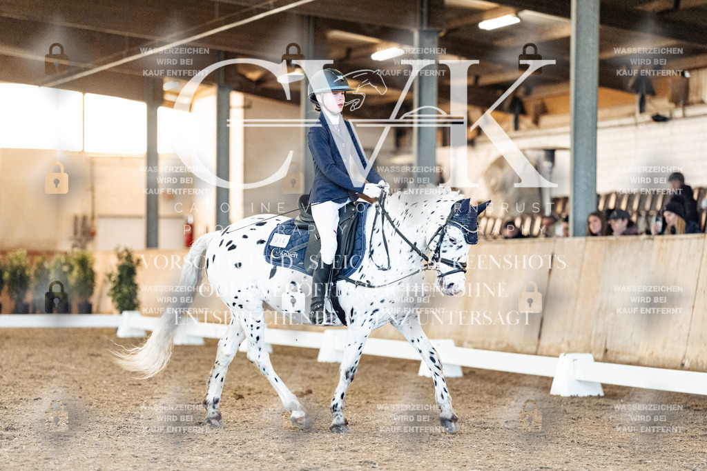 CK906840 | Turnierfotografie Pferdefotografie Trier Rheinland-Pfalz Pferdesport Reitsport Tierfotografie Sportfotografie Pferdevideo Pferdevideografie Equestrianvideography equestrianphotography  - Realized with Pictrs.com