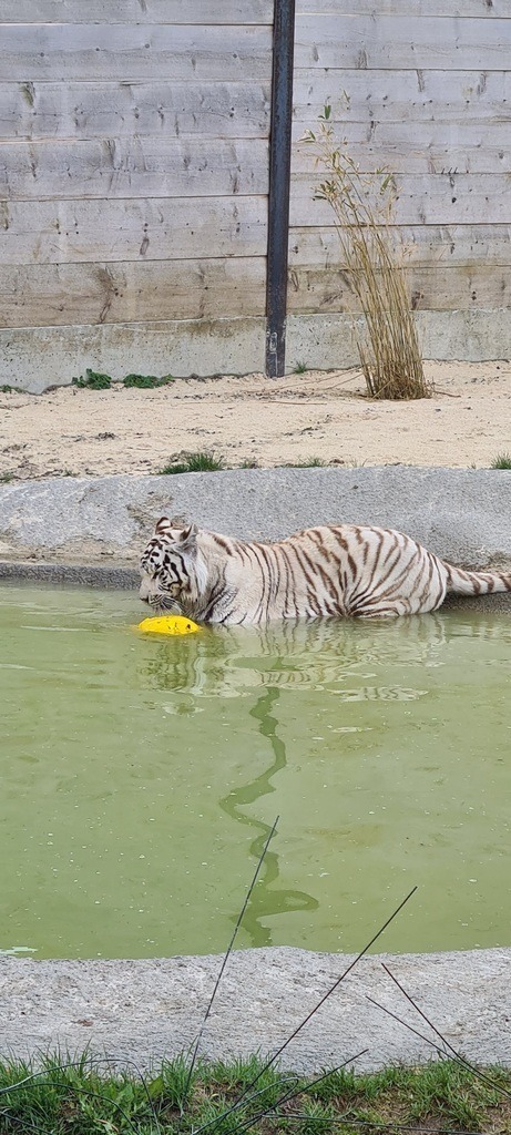 20210518_155615 | Heilkarten - Realisiert mit Pictrs.com