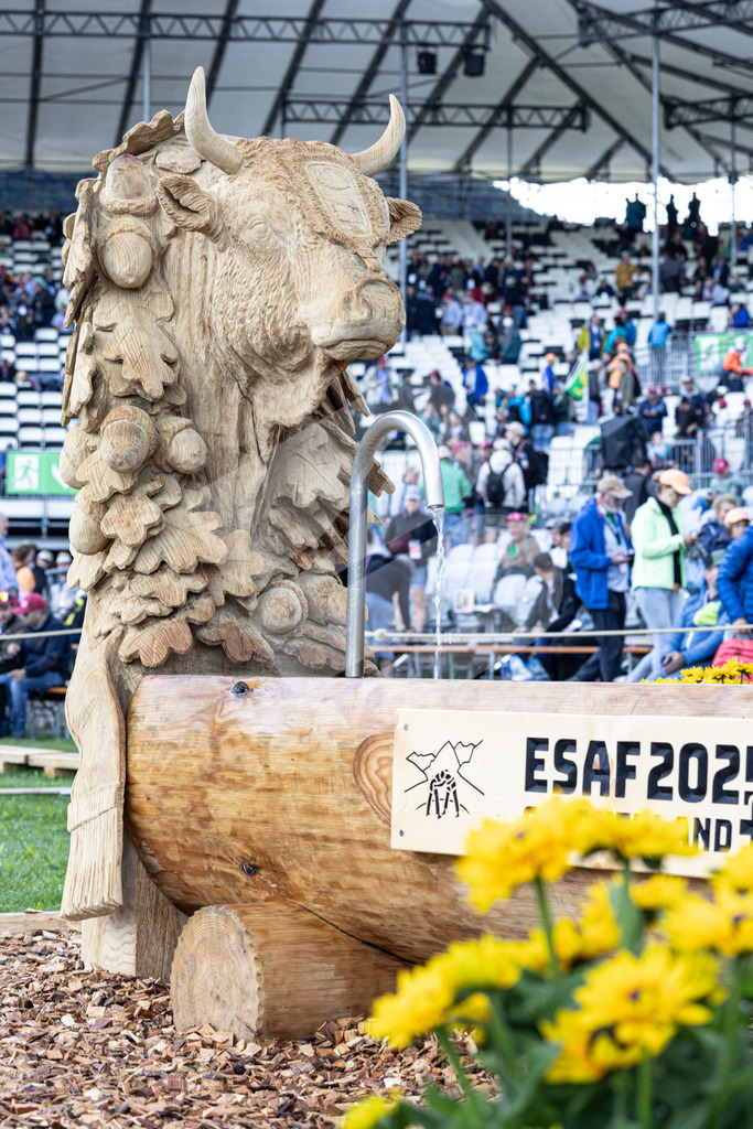 ESAF2025_05Gang_5692 | Die Schwinger des Schwyzer Kantonalen Schwingerverbandes: Fotos, die Dynamik und Leidenschaft festhalten, sowie emotionale Momente aus dem traditionellen Schwingsport zeigen. - Realisiert mit Pictrs.com