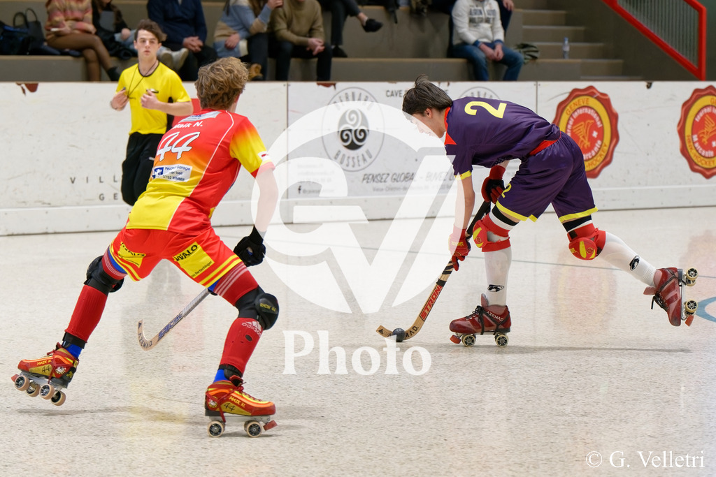 DSC_6009 | Velletri Photo