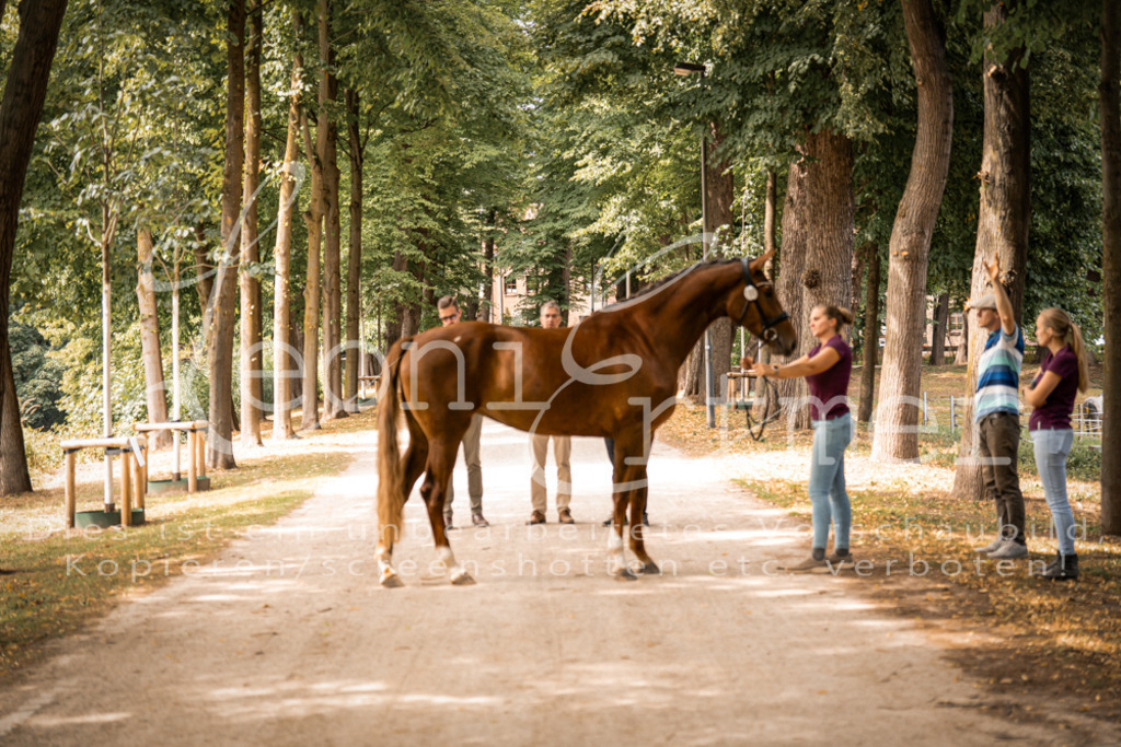 FrPfM00262 | Leoni Ertmer Photography - Realisiert mit Pictrs.com