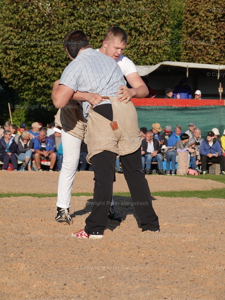 DSC05523 | Schwingen - Realisiert mit Pictrs.com