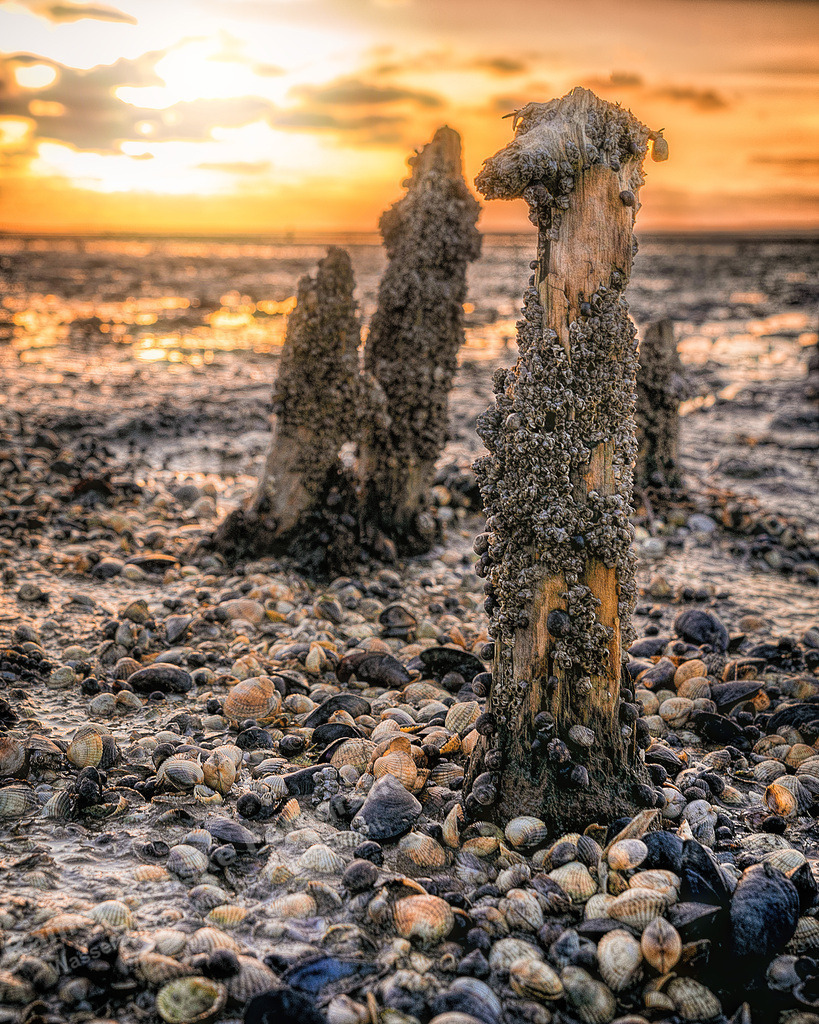 041 Harlesiel - 30-04-2022 -R Ganske.jpg | Rainer Ganske, www.RainerGanskeFotografie.de, www.RainerGanskeShop.de - Realisiert mit Pictrs.com