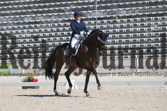 Marbach_2024_Prfg.Nr.04_Dressurprfg_Kl.S_Inter I_Beate Siegle_Ben 420 (6) | Alle Fotos der Reiterjournal Fotografin Doris Matthaes im Reiterjournal Online-Fotoshop. - Realisiert mit Pictrs.com