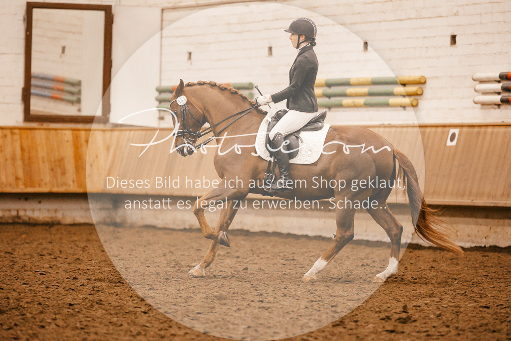 3I6A3152 | Stimmungsvolle Portraits und Reitsportfotografie im Ruhrgebiet und im Münsterland.

Pferdefotografie, Hundefotografie, Tierfotografie, Reportagen, Portraits von Tier und Mensch, Turnierfotografie in Bochum, Recklinghausen, Marl, Haltern am See, Dülmen.. - Realisiert mit Pictrs.com