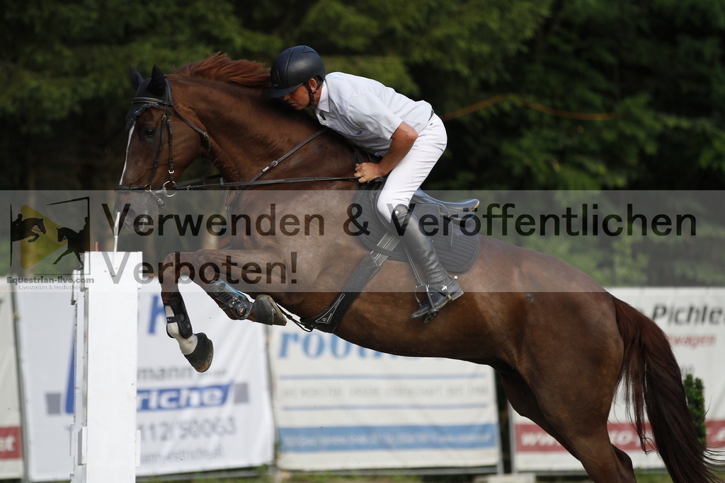 _MG_1144 | equestrian-live-com