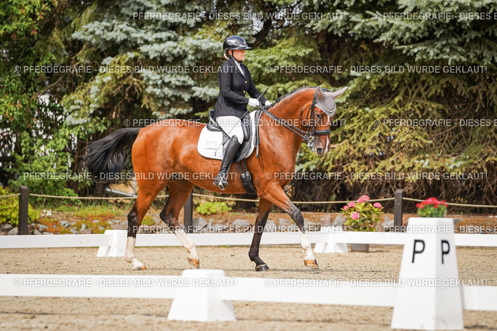 DSC05317 | Pferdegrafie