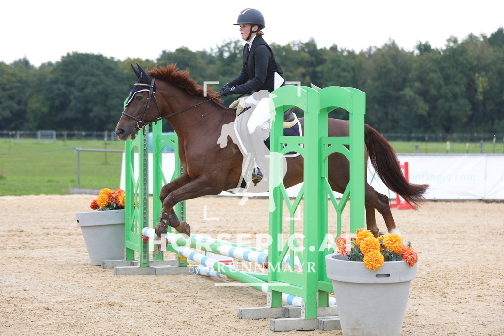 0P6A2693 | Willkommen bei Brunnmayr - Design & Fotografie – Ihrem Spezialisten für Reitturniere und Pferdeveranstaltungen in Oberösterreich, Salzburg und Bayern! Seit über 17 Jahren sind wir leidenschaftlich dabei.