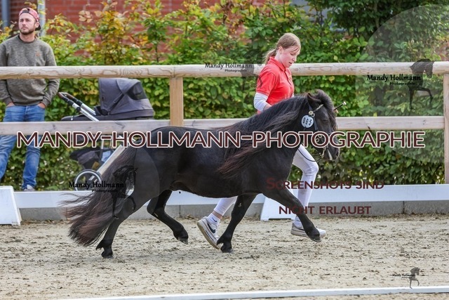 6-20 | mandyhollmannphotographie