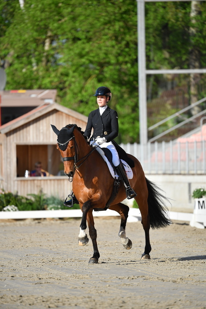 Brunkhorst_15_109 | Der professionelle Turnierfotograf ✓ Reitsport Bilder ▷ Shop ✚ günstig & schnell ✚ mit Zugang für Redakteure