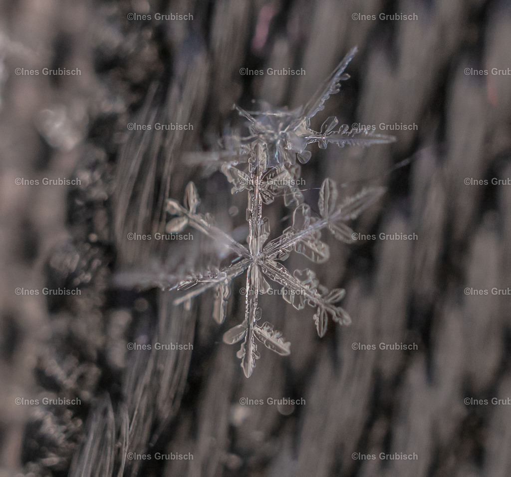 Schneekristall | Lila Lubbenbomm - Artwork by Ines Grubisch - Realisiert mit Pictrs.com