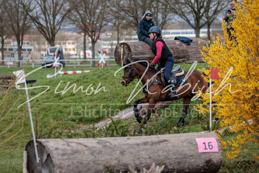 20260329-_3LI4607 | Tierfotografie Pferde, Hunde, Katzen, Haustiere.
Turnierfotografie Reitturniere, Reiten, Springreiten, Dressur in Hanau, dem Main-Kinzig-Kreis und dem Rhein-Main- Gebiet um Frankfurt