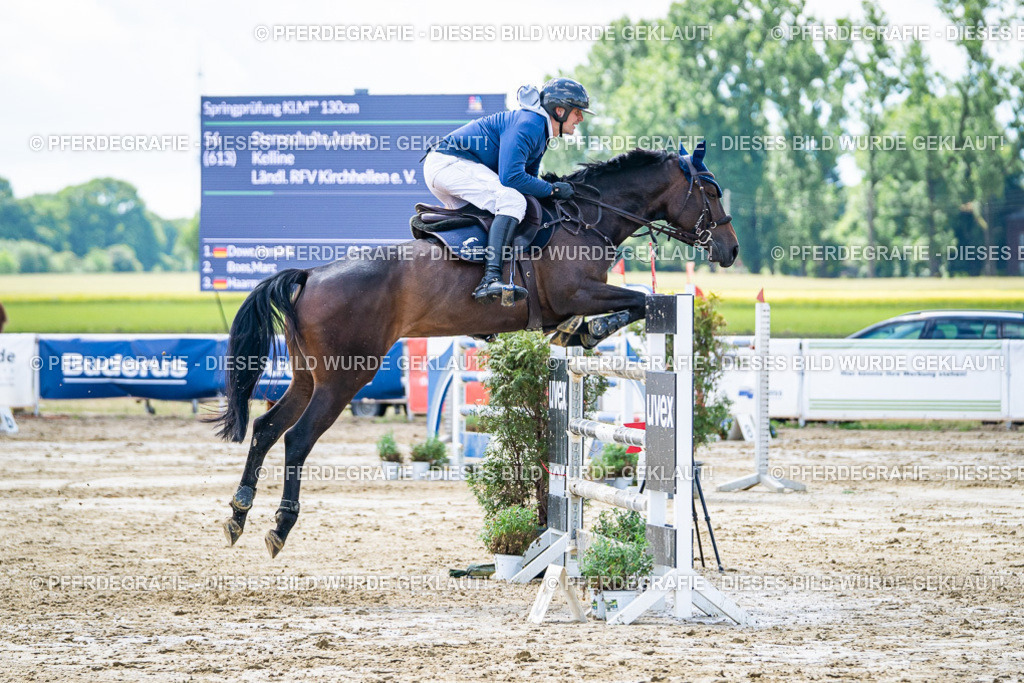 DSC05005 | Pferdegrafie