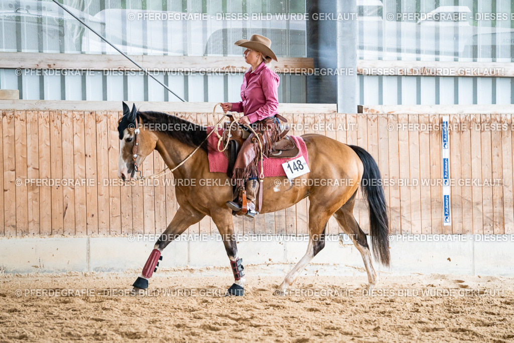 DSC00150 | Pferdegrafie