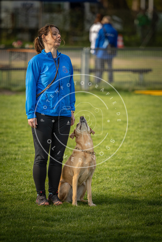 Pfotenfotografie_DV3A4773 | Hundefotografie, Tierfotograf, Pfotenfotografie, Fotoshooting Hund, Hunde Portrait, Hundesport, Hundeportraits, Heideshooting, Hunde, Sportfotograf, Hundefotograf, Turnierhundsport, THS,  - Realisiert mit Pictrs.com