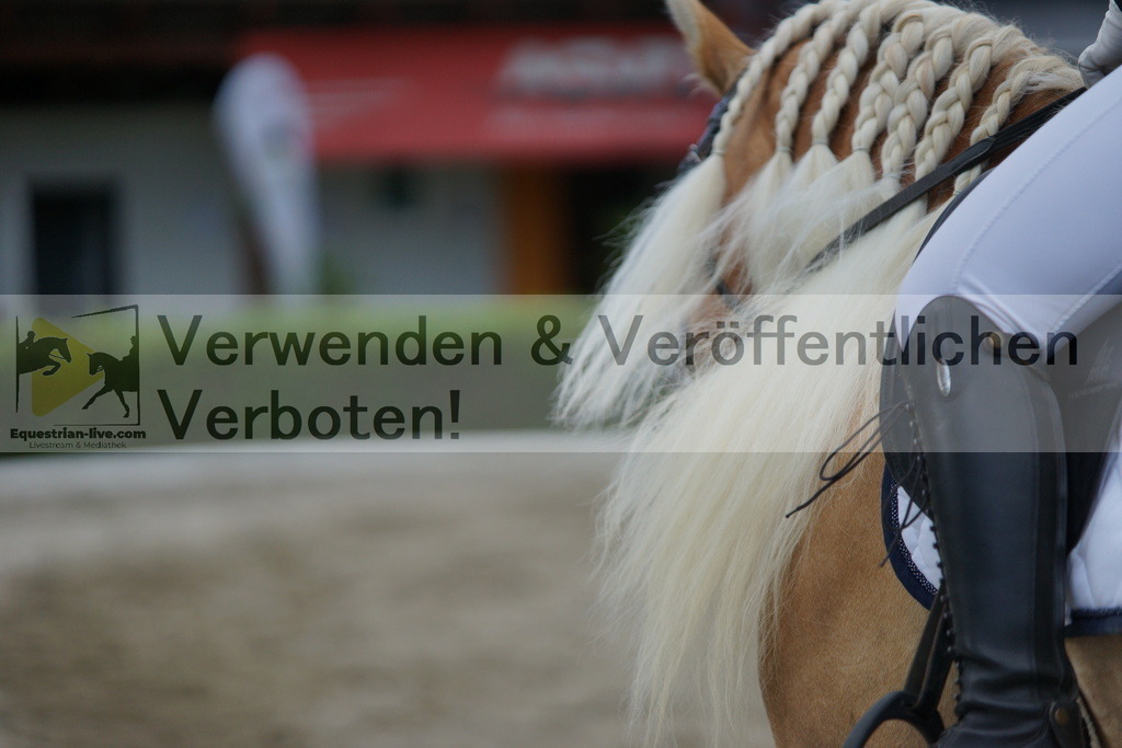 DSC05508 | equestrian-live-com