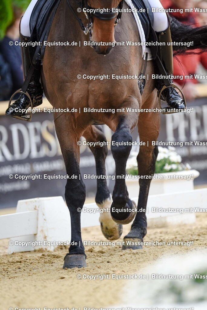 20250607_1_GP-Tour_Dressage_0093 | Foto: Thomas Hartig