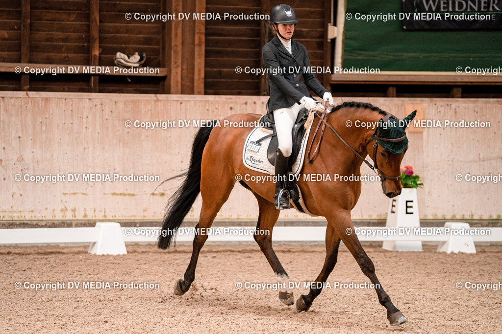 Dressur Tag 2-154 | dv-media-shop - Realisiert mit Pictrs.com