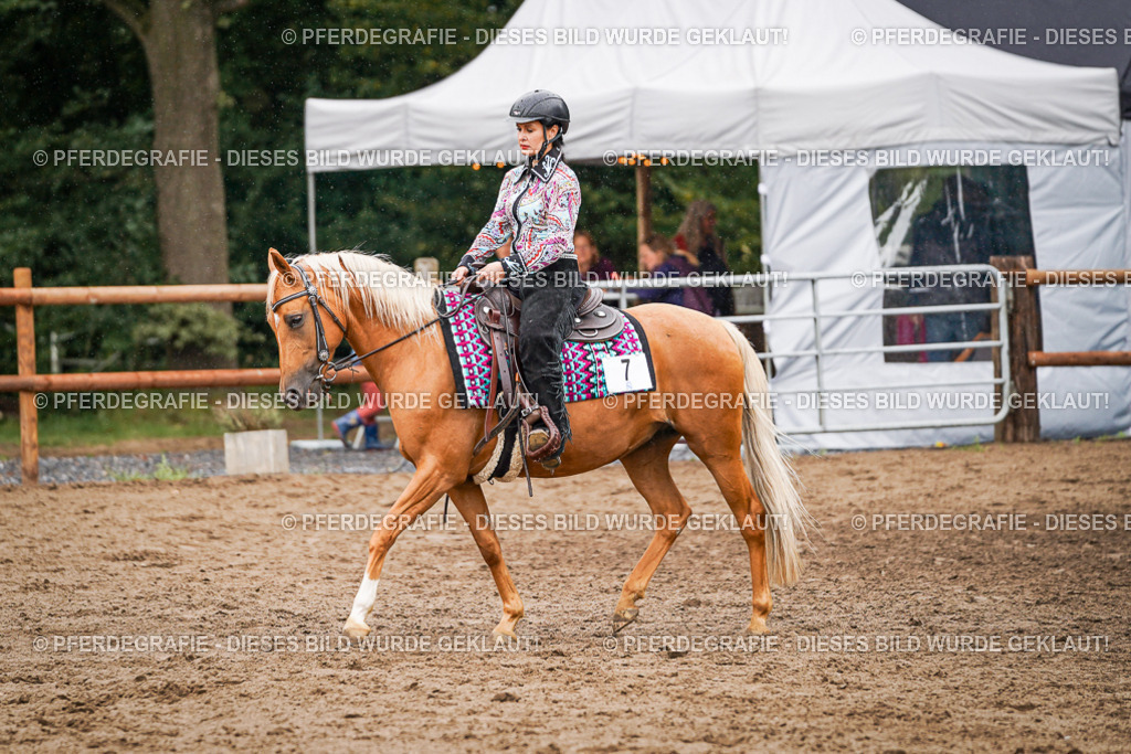 DSC05310 | Pferdegrafie