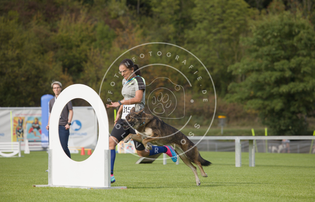 0L8A3764 | Hundefotografie, Tierfotograf, Pfotenfotografie, Fotoshooting Hund, Hunde Portrait, Hundesport, Hundeportraits, Heideshooting, Hunde, Sportfotograf, Hundefotograf, Turnierhundsport, THS,  - Realisiert mit Pictrs.com