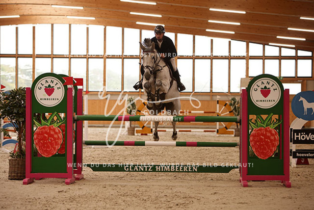 1J2A5642Jan Zdeb_ Masterclass_ Kn372_ Glantz_ Hohen Wieschendorf | Foto- und Videografie für alles rund ums Pferd. Hochwertige Bilder und Videos vom Spring- und Dressurreiten, Voltigieren & mehr. Jetzt aktuelle Veranstaltungen und Preise im Shop ansehen. - Realisiert mit Pictrs.com