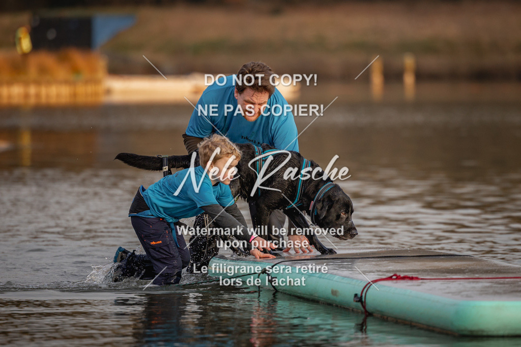 nelerasche_Hulsbeek_Sa1730-Ende_434 | nelerasche
