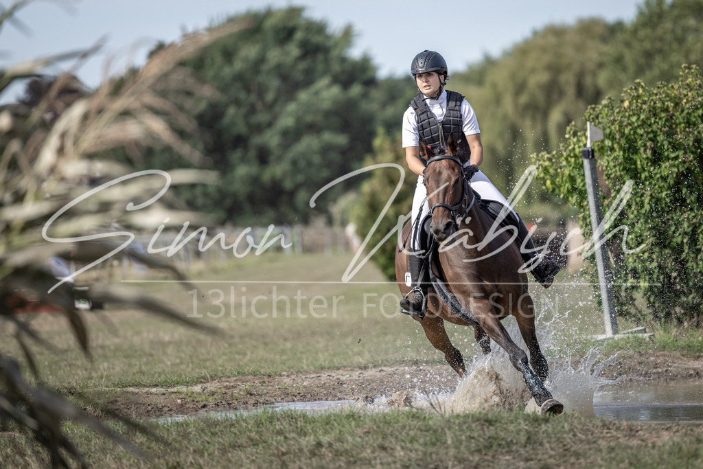 20250907-_3LI9547 | Tierfotografie Pferde, Hunde, Katzen, Haustiere.
Turnierfotografie Reitturniere, Reiten, Springreiten, Dressur in Hanau, dem Main-Kinzig-Kreis und dem Rhein-Main- Gebiet um Frankfurt