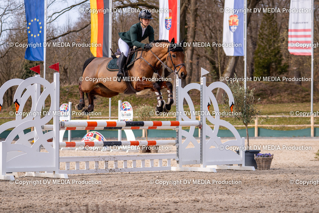 Kranichstein Tag 1-784 | dv-media-shop - Realisiert mit Pictrs.com