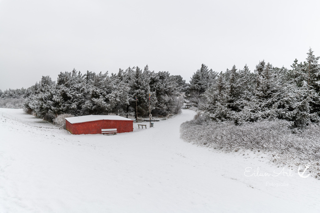 20260103-EAF_8221 | Eilun-Art-Fotografie Levke Martens, ihre Fotografin für Immobilien- und Landschaftsfotografie auf Föhr, Föhrer Motive als Poster, Leinwand, hinter Acrylglas oder stelle dir deinen eigenen Monatskalender zusammen, mit nur einem Klick