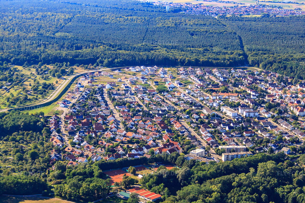 Luftbild: Neubaugebiet Vogelring von Süden in Jockgrim im Bundesland Rheinland-Pfalz in Deutschland. Foto: IMG_51759.jpg vom 18.08.2012 durch Werner Riehm/FLY-FOTO.de