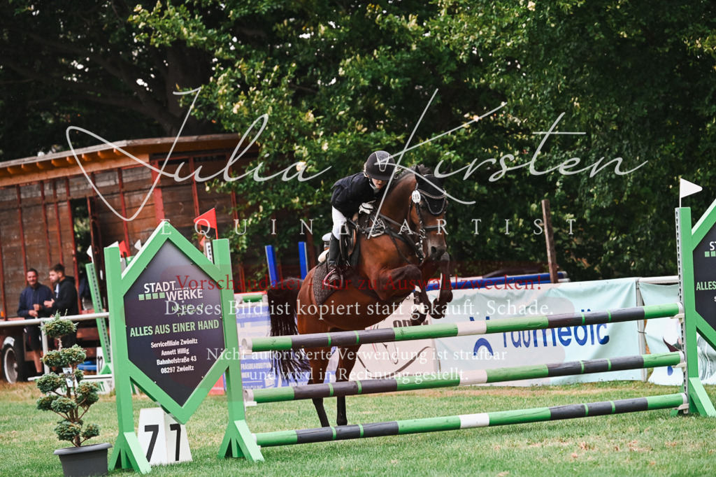 DSC_6281 | Pferde- und Turnierfotografie in Westsachsen. Pferdeportraits, Auftragszeichnungen und intuitive Kunst.