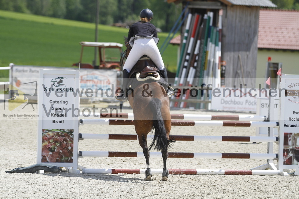 _MG_2138 | equestrian-live-com