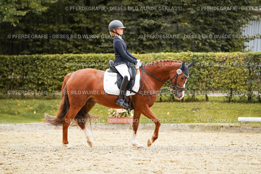 DSC09809 | Pferdegrafie