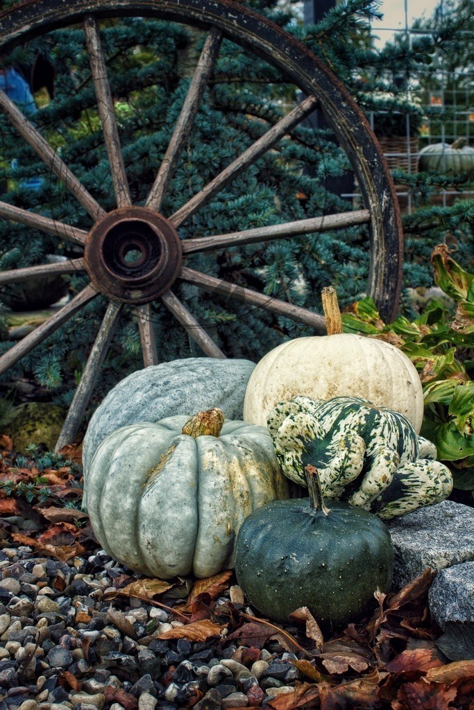 IMG_9032-01 | only.this.little.world - Realisiert mit Pictrs.com