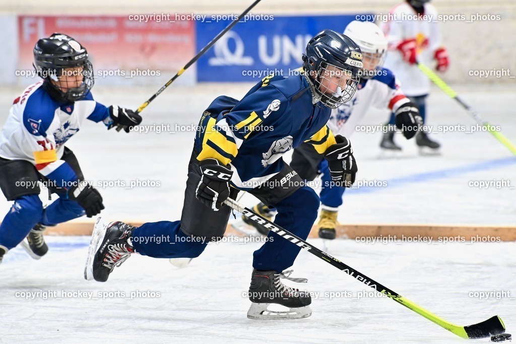 Dukes RINK Rumble Spittal a.d.Drau 9.-10.9.2023 | hockey sports photos, Pressefotos, Sportfotos, hockey247, win 2day icehockeyleague, Handball Austria, Floorball Austria, ÖVV, Kärntner Eishockeyverband, KEHV, KFV, Kärntner Fussballverband, Österreichischer Volleyballverband, Alps Hockey League, ÖFB, 
