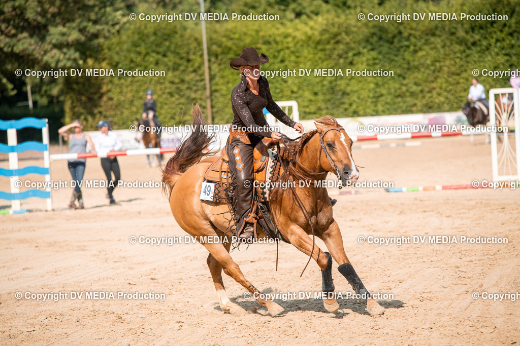 ZS2_8773 | dv-media-shop - Realisiert mit Pictrs.com