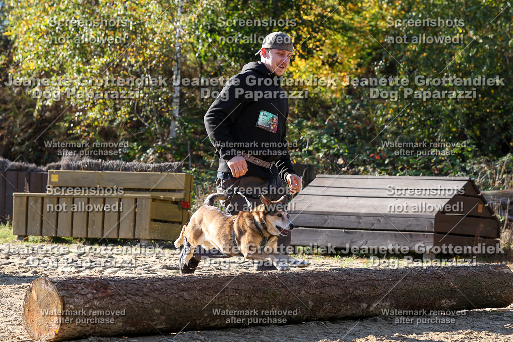 Dog Paparazzi - Strongdog 10-25-6037 | Dog Paparazzi Jeanette Grottendiek Fotografie & Videografie - Realisiert mit Pictrs.com