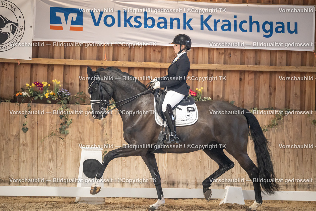 _D5A6355 | Emotionale Pferde- & People-Fotografie rund um Heidelberg, Leimen & Umgebung. Natürliche Fotos von Pferd, Mensch & Familie. Jetzt Termin sichern!