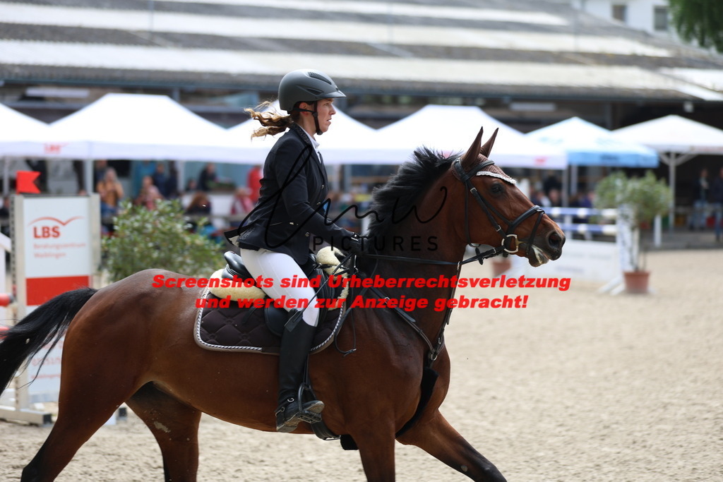 A40A2341 | lmwpictures - Realisiert mit Pictrs.com