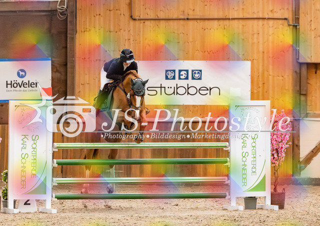 20260221_03_Springpferdeprfg KlL115-220 | JS-Photostyle - Sport-/Portrait- & Eventfotografie