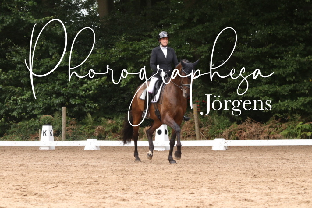 IMG_9852 | photographesa-joergens - Realisiert mit Pictrs.com