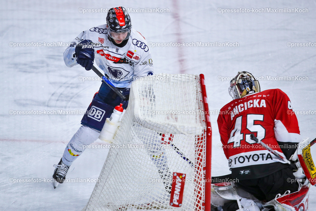 KoeDEL14032401033 | 14.03.2024, Köln, Eishockey, Penny DEL, Pre-Playoffs Spieltag 3, Lanxess-Arena, Kölner Haie - ERC Ingolstadt: Philipp Krauß (ERC Ingolstadt) schießt auf das Tor von Torhüter Tobias Ancicka (Kölner Haie) und trifft zum 2:1.