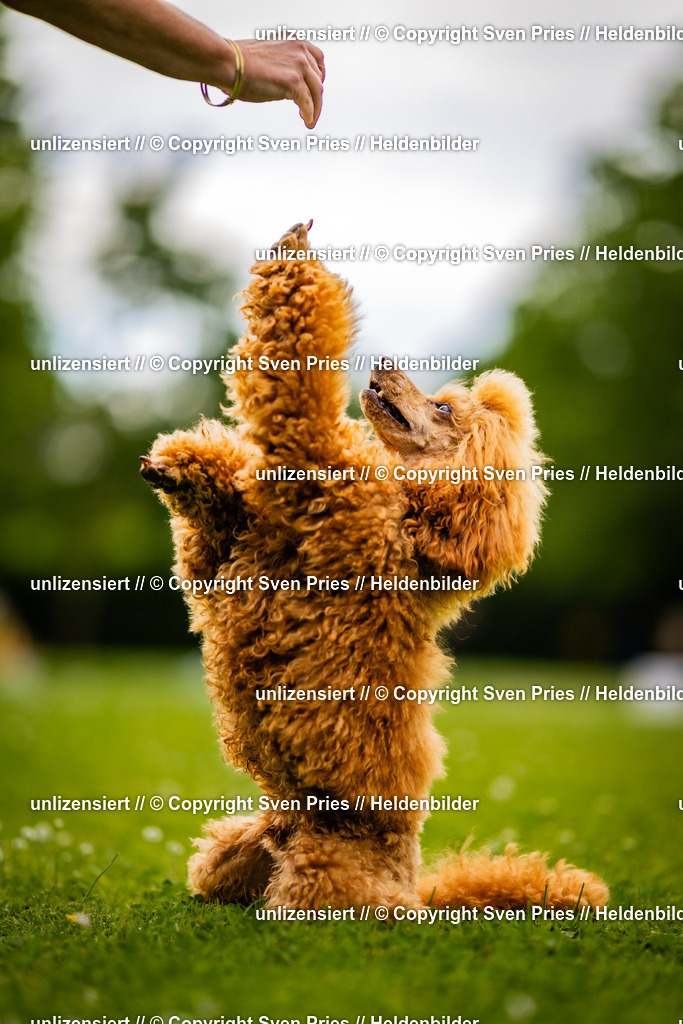 Sven Pries | 2025-05-29 - Pudelrennen KA-Durlach - Realisiert mit Pictrs.com